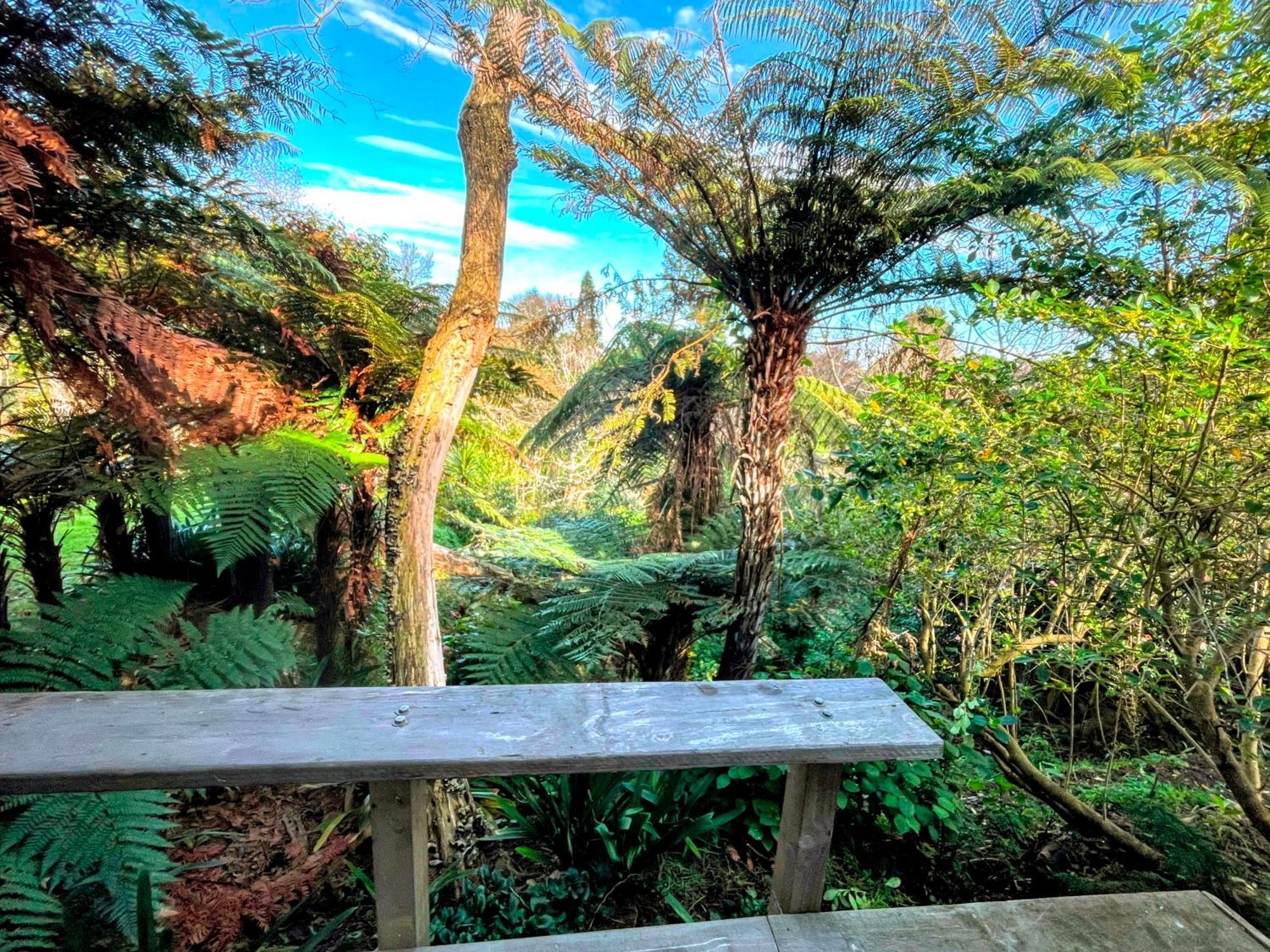 Gully Hideaway Apartment Hamilton Bagian luar foto