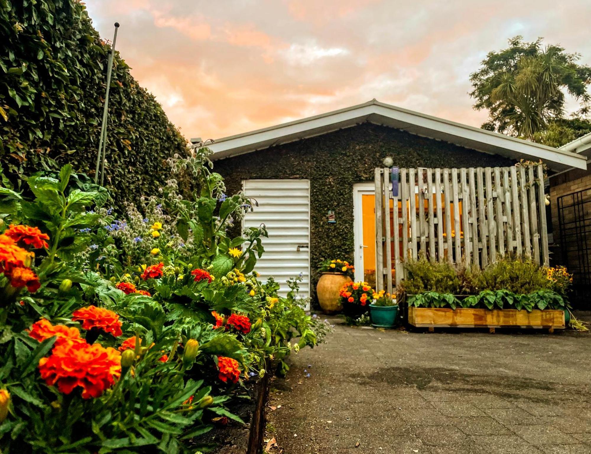 Gully Hideaway Apartment Hamilton Bagian luar foto